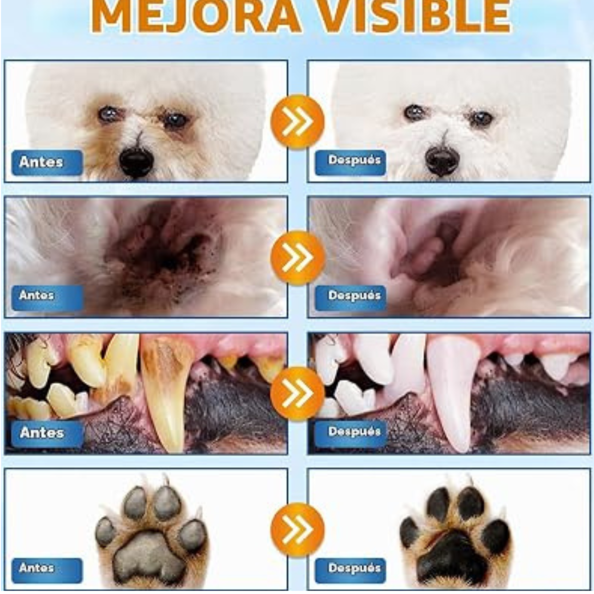 Kit de limpieza para perros.