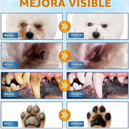 Kit de limpieza para perros.